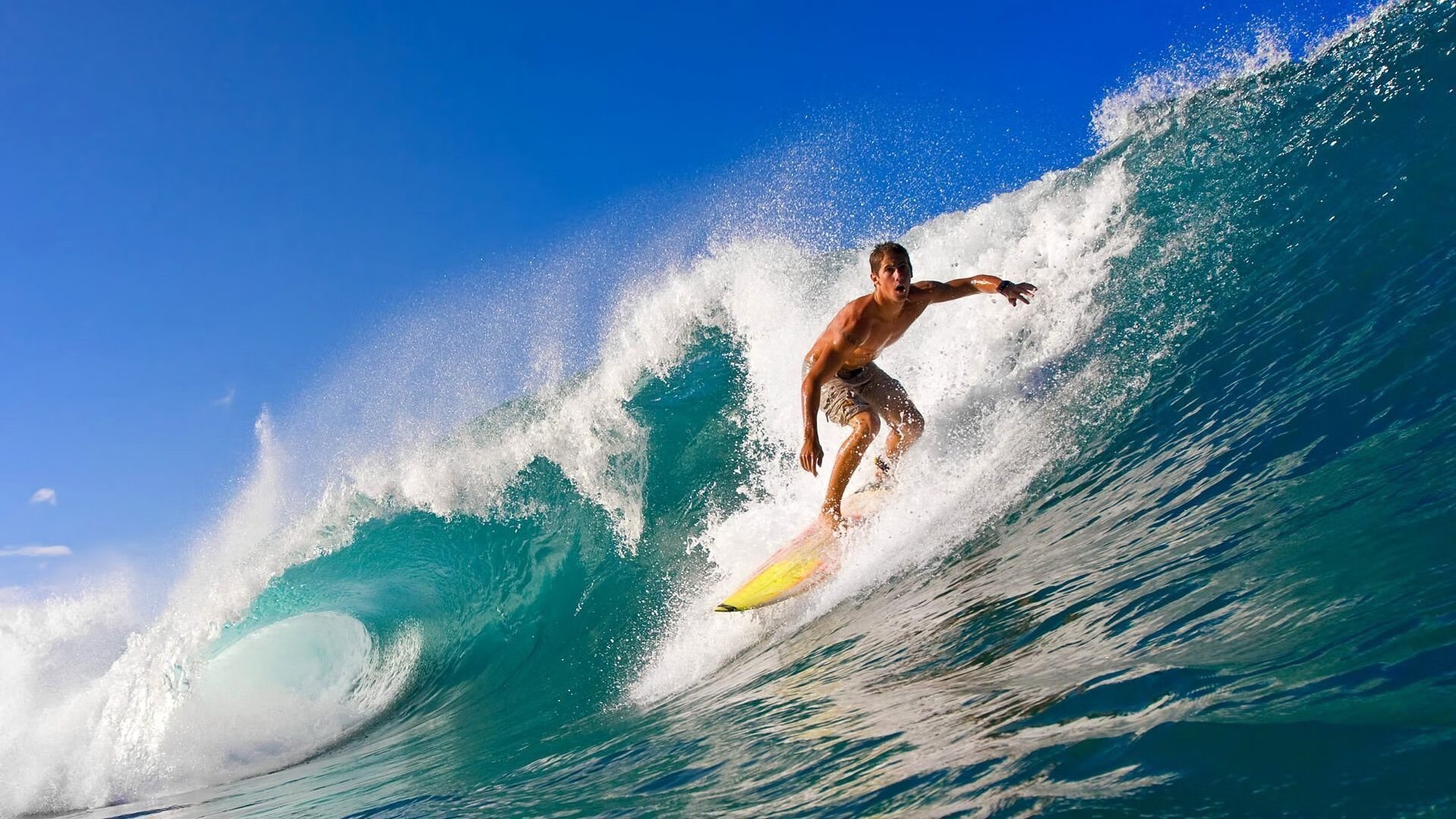 AYX GAMING-伊朗队教练：我们把沙漠经验带进了雪地，伊朗现任主教练